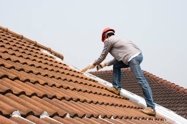 Best Slate Roofing  in Wekiwa Springs, FL