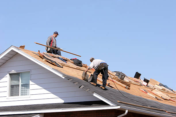 Best Roof Installation  in Wekiwa Springs, FL